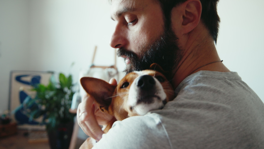 Close up shot of young bearded man hugging and gently strokes his cute friend brown basenji pure breed dog. Animals pets and human friendship Royalty-Free Stock Footage #1057757191