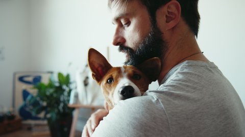 Close up shot of young bearded man hugging and gently strokes his cute friend brown basenji pure breed dog. Animals pets and human friendship