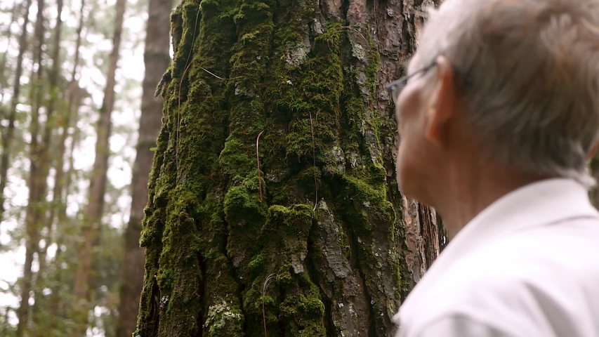 Senior man touching on old tree gently. Nature protection concept.
World environment day. Royalty-Free Stock Footage #1057776658