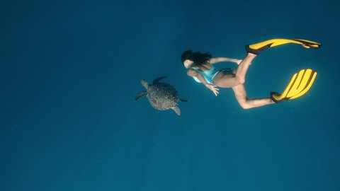 Freediver and turtle in natural habitat. Slow motion underwater contact of Beautiful girl swim next to wild underwater animals on surface of clear blue sea or ocean. Unique sea voyage, trip, travel.