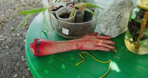a fake severed bloody human hand