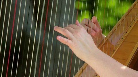 A woman plays a harp in the Park. Hands close up