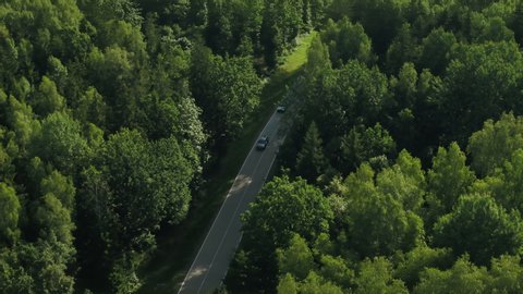 Russia, Sochi - August, 2020 aerial cinematic shot of a new SUV car driving on country road in forest in the morning at sunny day. Cinematic drone shot flying over gravel road in pine tree forest