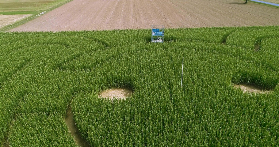 Aerial view of an corn maze in Germany.