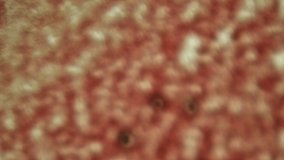 Soft microscopic capillaries with spreading pigment shot in 4k from the Contagion Collection - Microscopic Video Element