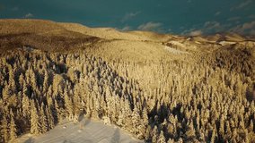 Aerial Winter Landscape at Sunset. Beautiful Cinematic Quality Footage UHD 4k. Aerial view of Snowy Forest. Flyover Snowy Mountains and Frozen Trees. Ukraine, Carpathian Mountains