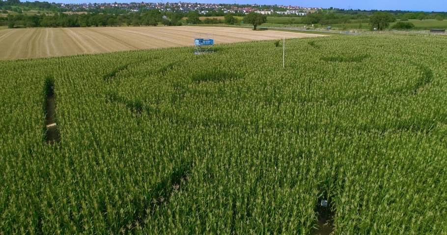 Aerial view of an corn maze in Germany.
