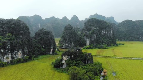 Aerial: North Vietnam karst landscape, drone view of Ninh Binh region, Trang An Tam Coc tourist destination, road crossing unique limestone pinnacles, rice paddies, river and villages