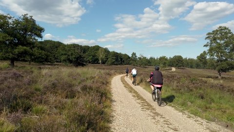 Cyclists at National Park Veluwe at the heatherfields