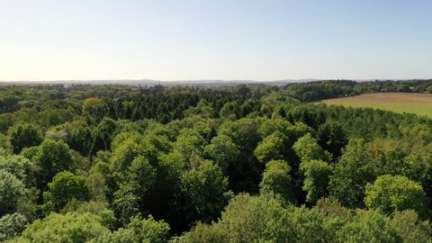 4K aerial drone footage skimming over the canopy of deciduous woodland and over farm fields towards a church in english countryside during summertime, West Berkshire, UK
