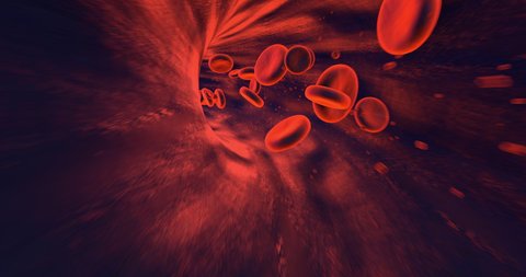 Blood Cells Flowing Slowly Inside Human Vein With Small Particles. Perfect Loop. Science And Health Related High Quality 3D Animation.