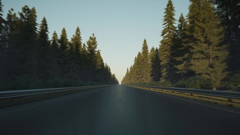Driving along the forest, timelapse. Day to night at the driving. Car driving on the road along the forest