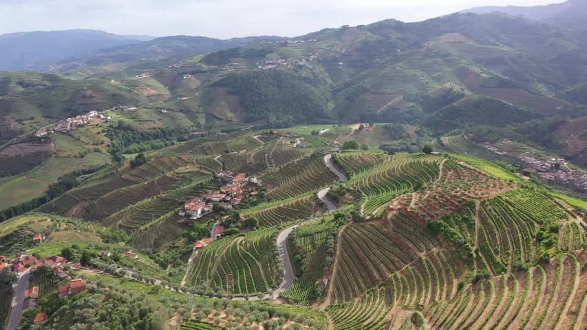 Aerial view of the Douro valley - wine vineyards - Portugal Royalty-Free Stock Footage #1057905589