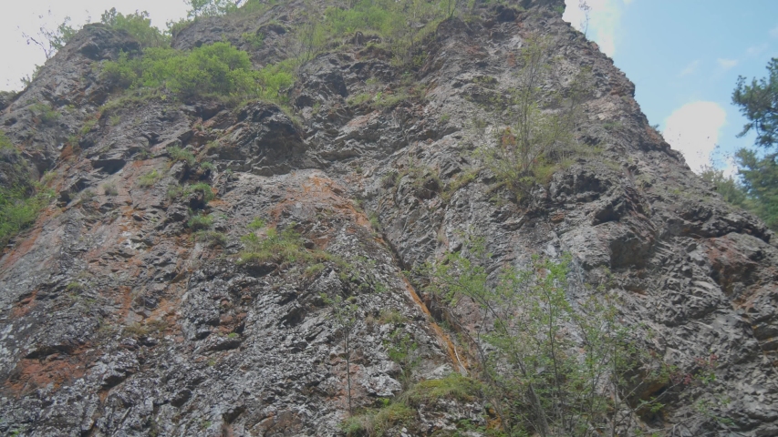 Big rock slide in the forest