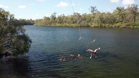 Girl swinging into Blackwood lake with bungee rope swing. Friends have fun in holiday, Slowmotion shot - Powered by Shutterstock - Get 15% off with code: PIKWIZARD15