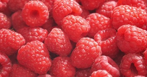Close up rotation raspberry. Macro red fresh raspberries fruit. Rotation. 4k
