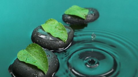 Slow motion. Falling drop of water into green water with black stones and green leaves.