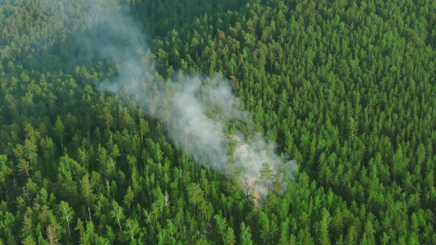 forest fire begins aerial view. trees burning in forest fire. wildfire reasons, arson, thunderstorm. green forest with smoke rising, drone video Royalty-Free Stock Footage #1057958911