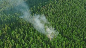 forest fire begins aerial view. trees burning in forest fire. wildfire reasons, arson, thunderstorm. green forest with smoke rising, drone video