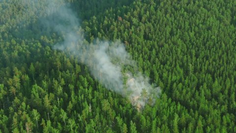 forest fire begins aerial view. trees burning in forest fire. wildfire reasons, arson, thunderstorm. green forest with smoke rising, drone video