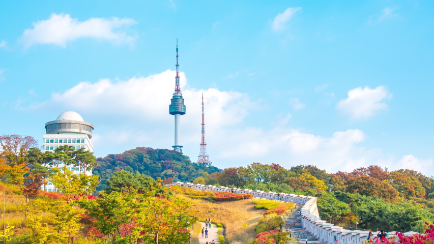 Timelapse 4k, Autumn leaves on Namsan Mountain In Seoul City South Korea And the blue sky Royalty-Free Stock Footage #1057960738