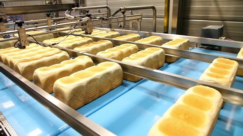 Big bakery bread production line