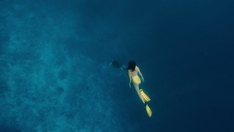 Freediving or snorkeling trips. Large turtle and young girl swimming underwater together in slow motion. Active holidays on islands, on coast of ocean or sea. Unique contact with tropical animals.