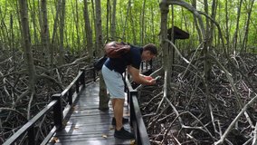 Young Modern Man Traveler with Backpack Makes Video on Smartphone of Mangrove Trees Roots in Forest. Tourist Shooting Stories Clip for Social Media by Phone in Green Tropical Woods in Asia.