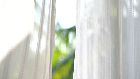 White curtain blowing by wind in room. Outside is coconut tree swaying by wind. Fresh and deep breeze of nature.