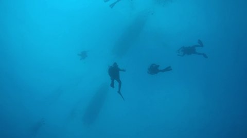 Scuba divers on a safety stop at the end of a dive in Truk Lagoon, Micronesia