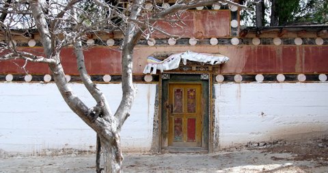 Tibetan white wall decorative colourful doorway entrance dolly right passing old bare tree in garden.