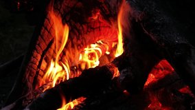 Night video of bonfire in a tourist camp. Closeup footage of flame of burning wood on black background.