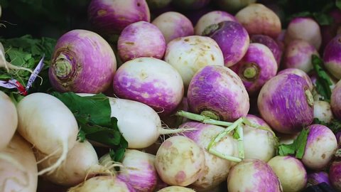 Fresh turnips root crops for sale on counter of local market. Vegetarian food concept