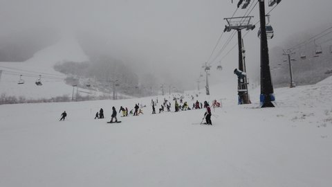 Hakuba, Japan - January 1,2020 : Many people enjoy skiing at Hakuba Goryu Snow Resort in Hakuba, Japan on January 1,2020.
