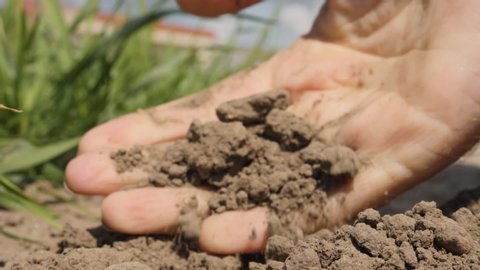 Natural Organic Soil Agriculture. Man Farmer Hands Touching Ground on Field. Close up. Farmer Hands Holding and Pouring Back Organic Soil. Slow Motion. Macro shooting.