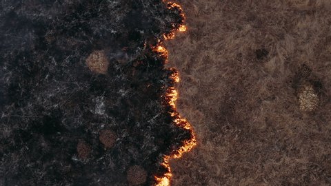 Natural disaster, burning field. Epic aerial photography, smoke clouds and the spread of fire. Deforestation, burning of dry grass. Climate change and ecology. Uncontrolled rural fire, molehills.