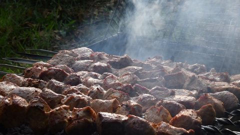 Barbecue grill meat on skewers with smoke over and smells delicious. Picnic food preparation using outdoor charcoal grill. Juicy fresh pork meat shish kabobs