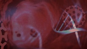 Animation of 3d DNA strand spinning with Covid 19 coronavirus cells icons floating on red background. Covid 19 pandemic health care science concept digitally generated image. - Powered by Shutterstock - Get 15% off with code: PIKWIZARD15