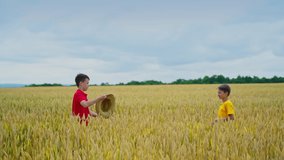 Boy throws starw hat on brother`s head. Kid is trying to catch hat. Video in a field. Gold wheat and blue sky. Motion video. Brothers playing.