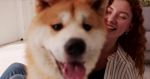 Close up of joyful young woman with red curly hair cuddling up with Akita Inu Dog taking selfies photos recording video of cute amazing pet friend. Lady and her domestic animal having fun together.