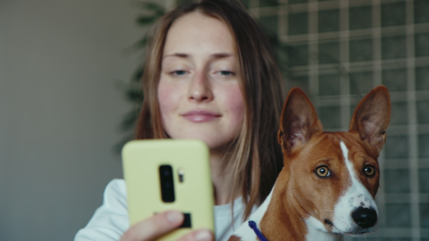 Beautiful woman and basenji puppy dog taking selfie at home sitting in living room, looking at camera holding mobile phone. People and animals friendship. Royalty-Free Stock Footage #1058042719