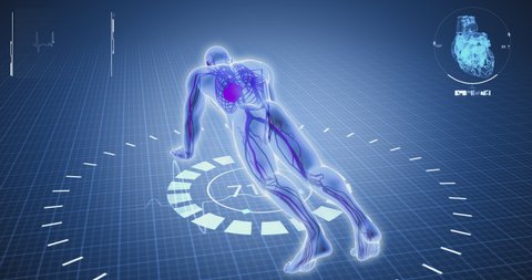 Exercise Plank, blood circulation, pulse, sport, weight lifting, gym, medical screen, human anatomy, computer anatomy, body skeleton, X-ray scan