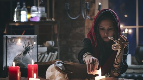 Portrait of young fortune teller sitting at table in front of open book, holding snake and burning candle and performing ritual or casting dark spell