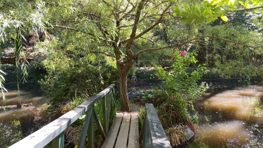Pathway to a beautiful sanctuary tree in the middle of a lake