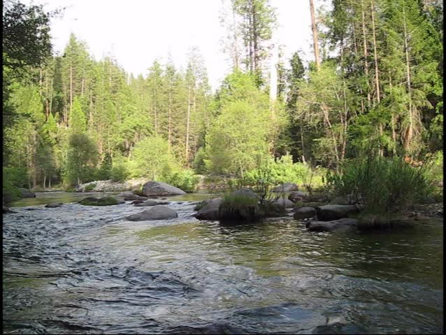 River in a Park