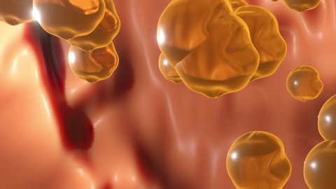 3D animation of cholesterin or fat cells flaoting in human body