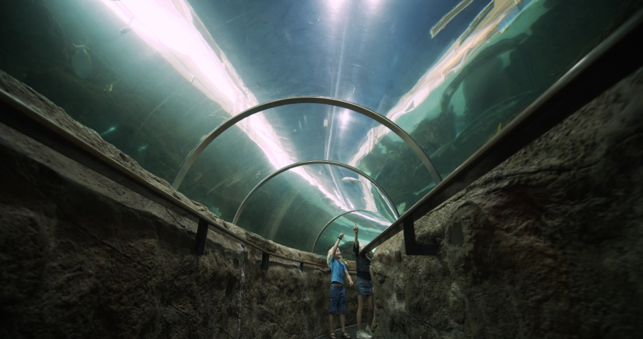 Kids enjoying the view from the thick glass separating them between the wildlife sea creatures, as they both point upwards and admire the fishes swimming around the oceanarium tunnel.