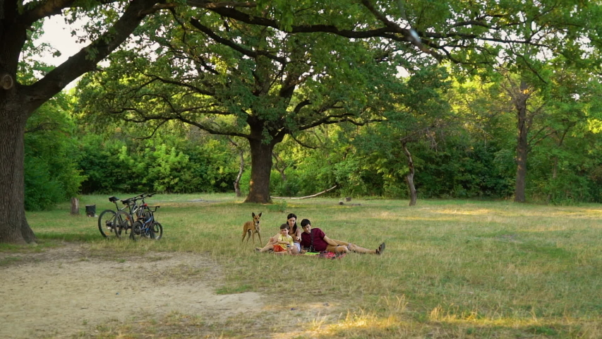 Family having picnic in green forest, their dog standing beside and watching, bicycles under tree. Active people and pet spending time outside. Concept of relaxing