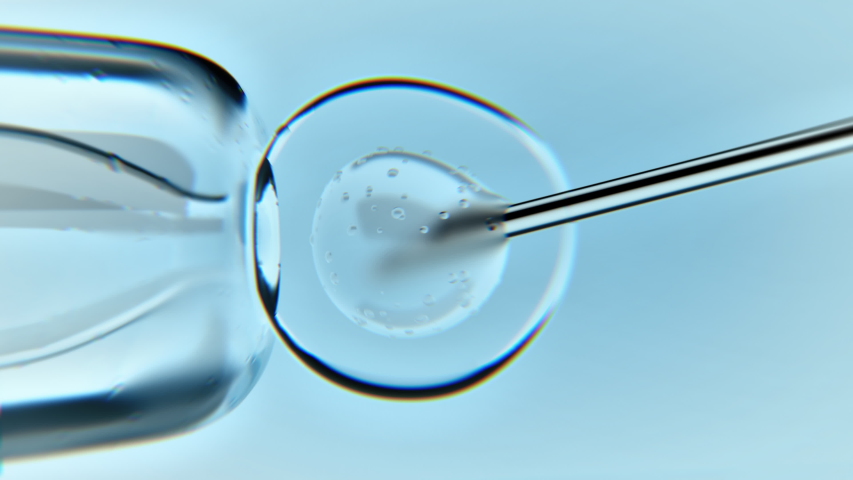 In Vitro fertilisation process through a microscope. Laboratory procedure with an egg cell, needle injection. Artificial insemination. 3D animation. Color aberrations. Close up medical footage in 4K | Shutterstock HD Video #1058092360