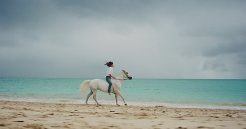 Woman horseback riding on the beach at sunrise, majestic slow motion